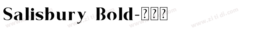 Salisbury Bold字体转换 Salisbury Bold字体转换